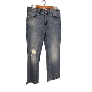 Anthropologie‎ Pilcro Distressed Straight Leg Jeans Size 32